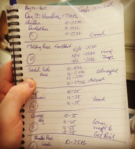 FacelessFitness Shoulders & Traps